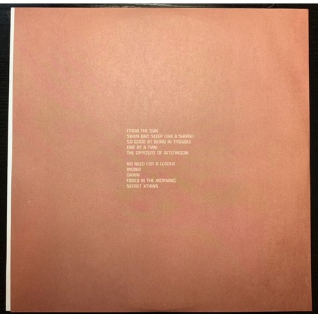 Unknown Mortal Orchestra - II (0617308056426) виниловая пластинка - фото 5