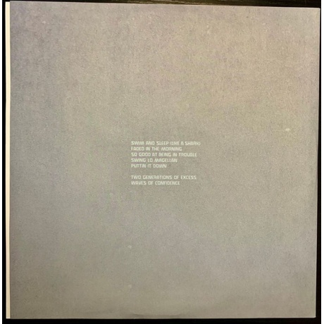 Unknown Mortal Orchestra - II (0617308056426) виниловая пластинка - фото 8