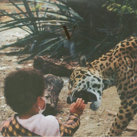 

Unknown Mortal Orchestra - V (coloured) (0656605242231) виниловая пластинка