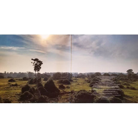 Pure Reason Revolution - Above Cirrus (0194399894019) виниловая пластинка - фото 3