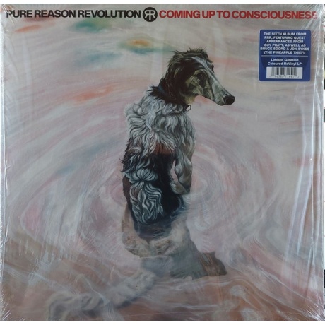 

Pure Reason Revolution - Coming Up To Consciousness (coloured) (0196588714412) виниловая пластинка