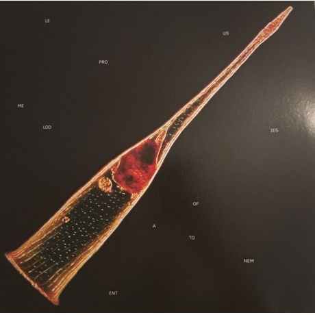 Leprous - Melodies Of Atonement (0196588950810) виниловая пластинка - фото 1