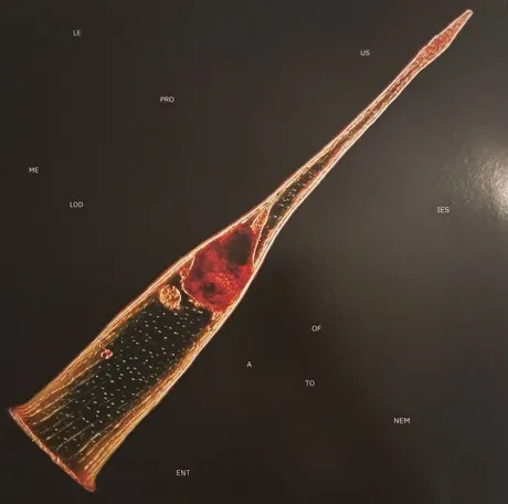 Leprous - Melodies Of Atonement (0196588950810) виниловая пласти...