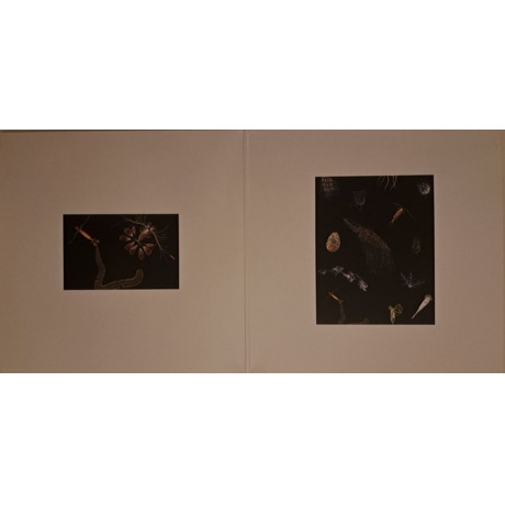 Leprous - Melodies Of Atonement (0196588950810) виниловая пластинка - фото 2