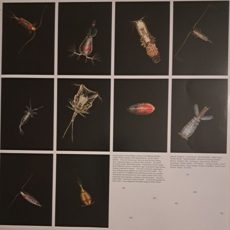 Leprous - Melodies Of Atonement (0196588950810) виниловая пластинка - фото 5