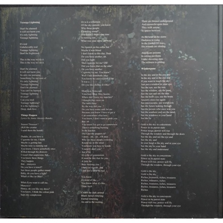 Coil - Love S Secret Domain (coloured) (8016670147091) виниловая пластинка - фото 4