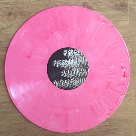 Franz Ferdinand - Always Ascending (coloured) (0887828040834) виниловая пластинка - фото 3