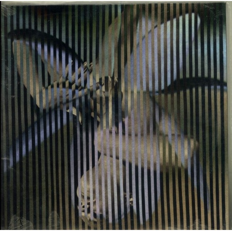 Franz Ferdinand - Always Ascending (coloured) (0887828040834) виниловая пластинка - фото 4