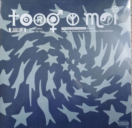 Toro Y Moi - Hole Erth (0656605165509) виниловая пластинка