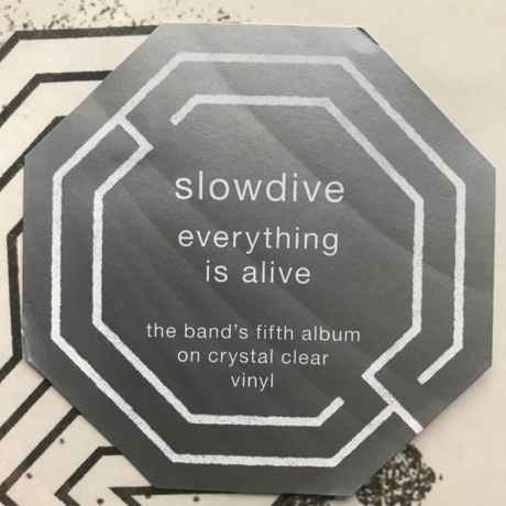 Slowdive - Everything Is Alive (coloured) (0656605153230) виниловая пластинка - фото 8