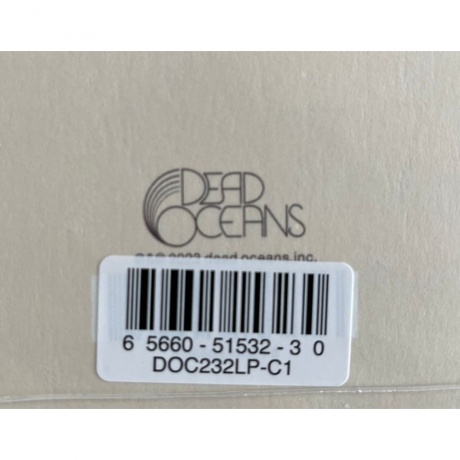 Slowdive - Everything Is Alive (coloured) (0656605153230) виниловая пластинка - фото 10