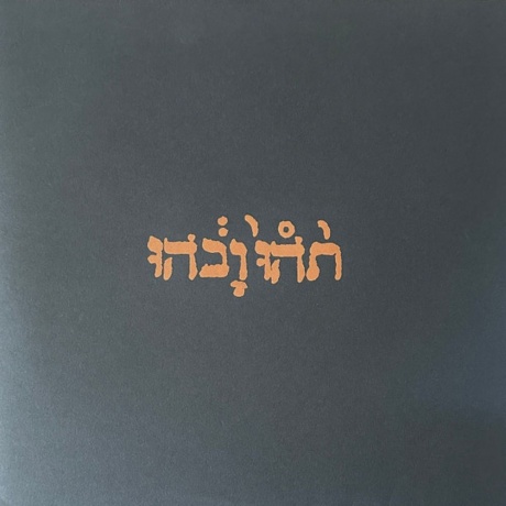 Godspeed You! Black Emperor - Slow Riot For New Zero (0666561000...