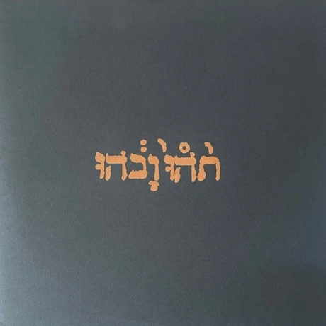 Godspeed You! Black Emperor - Slow Riot For New Zero (0666561000...