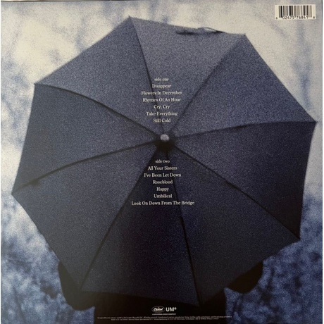 Mazzy Star - Among My Swan (0602475768418) виниловая пластинка - фото 2