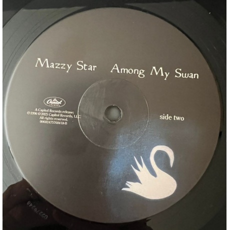 Mazzy Star - Among My Swan (0602475768418) виниловая пластинка - фото 6