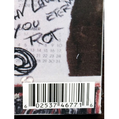 Slayer - Divine Intervention (0602537467716) виниловая пластинка - фото 12