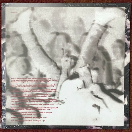 Slayer - Undisputed Attitude (0602537494064) виниловая пластинка - фото 5