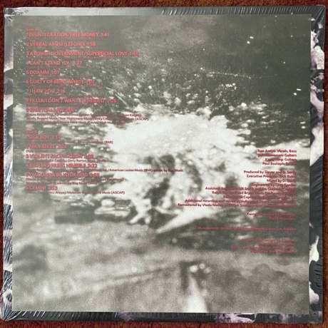 Slayer - Undisputed Attitude (0602537494064) виниловая пластинка - фото 6