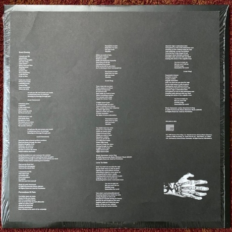 Slayer - Diabolus In Musica (0602537466856) виниловая пластинка - фото 6