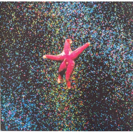 Pale Saints - In Ribbons (0191400040717) виниловая пластинка - фото 8