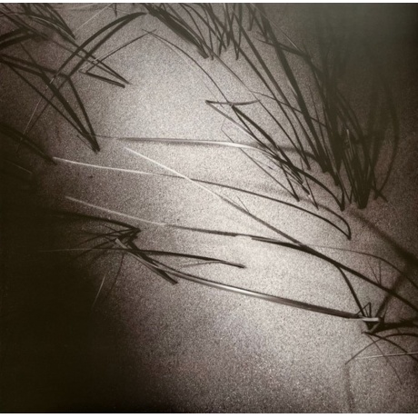 Cocteau Twins - The Moon &amp; The Melodies (0191400064218) виниловая пластинка - фото 5