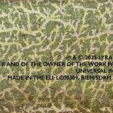 Kaiser Chiefs - Employment (0602475656685) виниловая пластинка - фото 5