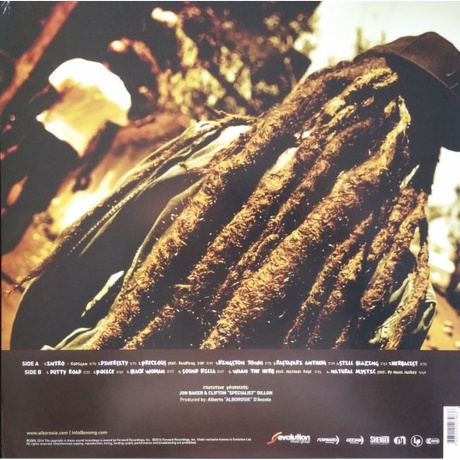 Alborosie - Soul Pirate (Audiophile Edition) (4897012127483) виниловая пластинка - фото 3