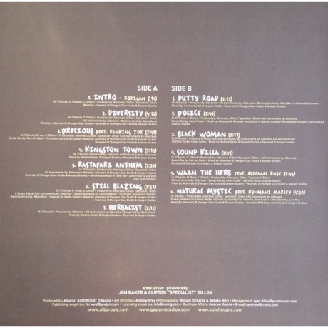 Alborosie - Soul Pirate (Audiophile Edition) (4897012127483) виниловая пластинка - фото 6