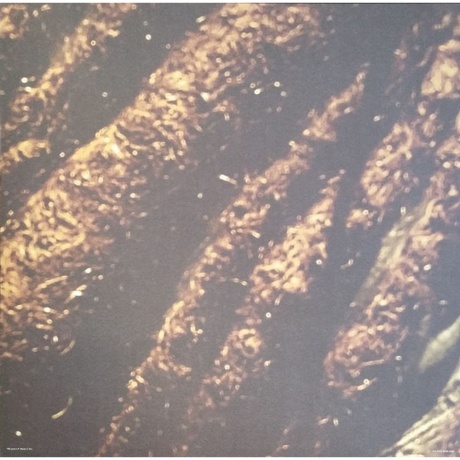 Alborosie - Soul Pirate (Audiophile Edition) (4897012127483) виниловая пластинка - фото 7