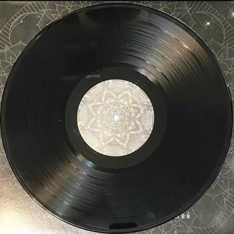 Architects - Lost Forever / Lost Together  (0045778731817) виниловая пластинка - фото 3