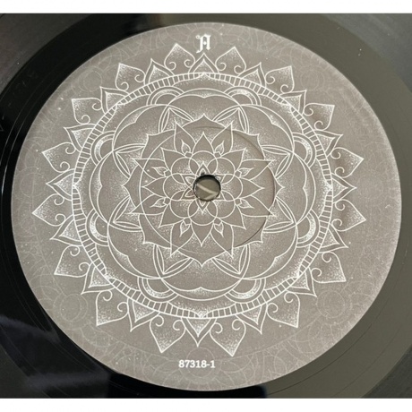 Architects - Lost Forever / Lost Together  (0045778731817) виниловая пластинка - фото 4