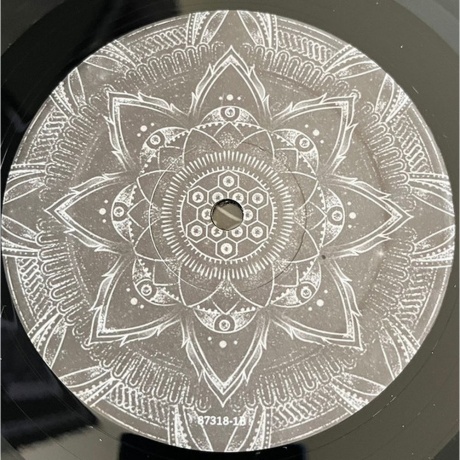 Architects - Lost Forever / Lost Together  (0045778731817) виниловая пластинка - фото 5