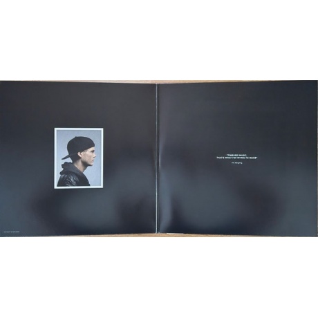 Avicii - Forever  (0602478117091) виниловая пластинка - фото 3