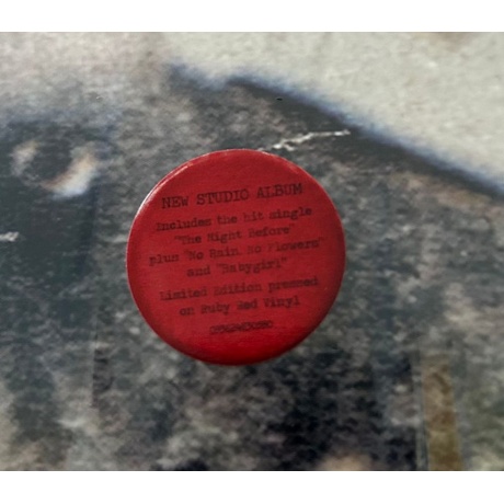 Black Keys - No Rain No Flowers  (0093624830580) виниловая пластинка - фото 8