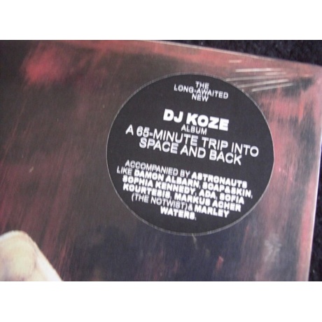 Dj Koze - Music Can Hear Us  (0673799291616) виниловая пластинка - фото 4