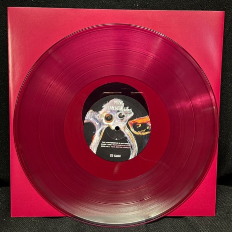 Dj Koze - Music Can Hear Us  (0673799291630) виниловая пластинка - фото 9