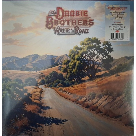 Doobie Brothers - Walk This Road  (0603497818433) виниловая плас...