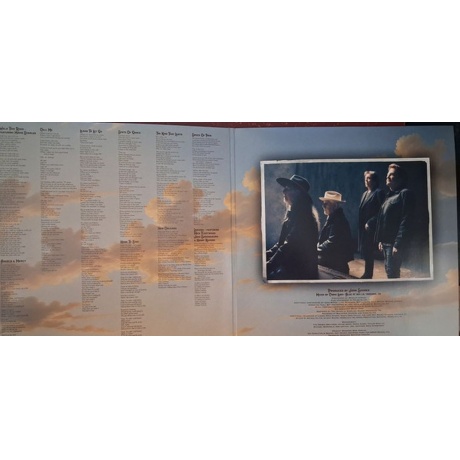 Doobie Brothers - Walk This Road  (0603497818433) виниловая пластинка - фото 5