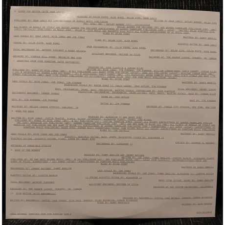 Jonas Brothers - Greetings From Your Hometown  (0602478150838) виниловая пластинка - фото 3