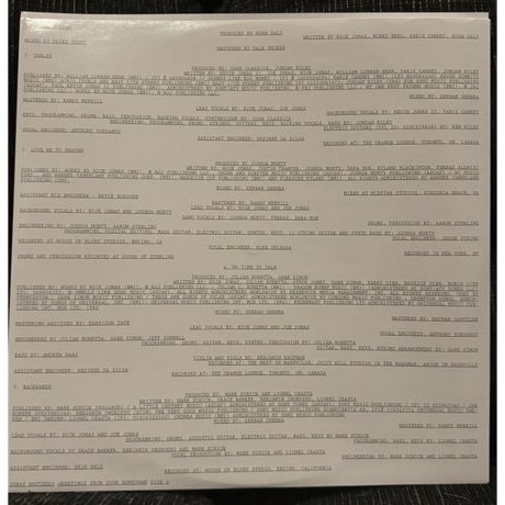 Jonas Brothers - Greetings From Your Hometown  (0602478150838) виниловая пластинка - фото 4