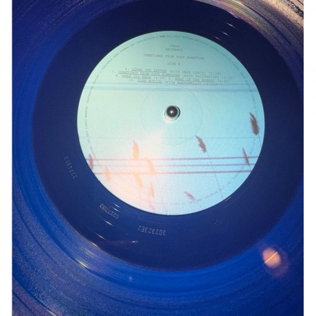 Jonas Brothers - Greetings From Your Hometown  (0602478150838) виниловая пластинка - фото 7