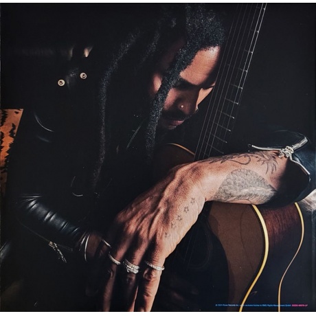 Lenny Kravitz - Blue Electric Light (4050538939248) виниловая пластинка - фото 11