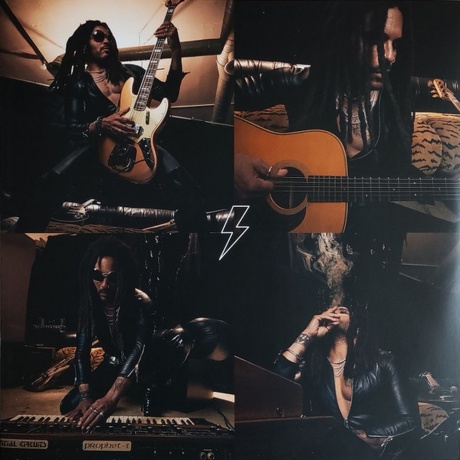 Lenny Kravitz - Blue Electric Light (4050538939248) виниловая пластинка - фото 16