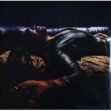 Lenny Kravitz - Blue Electric Light (4050538939248) виниловая пластинка - фото 9