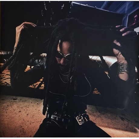 Lenny Kravitz - Blue Electric Light (4050538939248) виниловая пластинка - фото 10