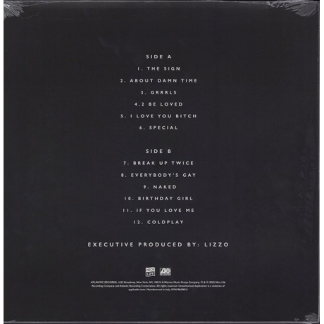 Lizzo - Special  (0075678638022) виниловая пластинка - фото 2