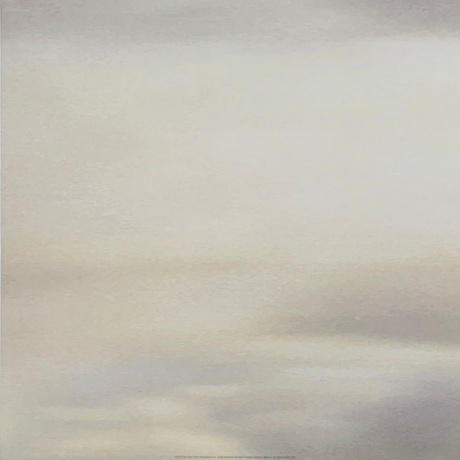 Neil Young &amp; Crazy Horse - Toast  (0093624881308) виниловая пластинка - фото 11