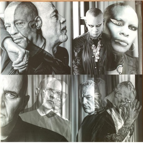 Skunk Anansie - The Painful Truth (8024391148259) виниловая пластинка - фото 5