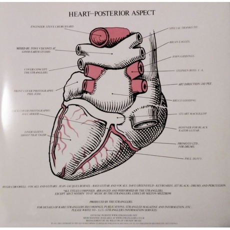 Stranglers - La Folie (Translucent Pink) (5021732367815) виниловая пластинка - фото 6