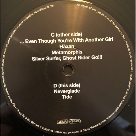 Trentemoller - Into The Great Wide Yonder (4250382403272) виниловая пластинка - фото 2